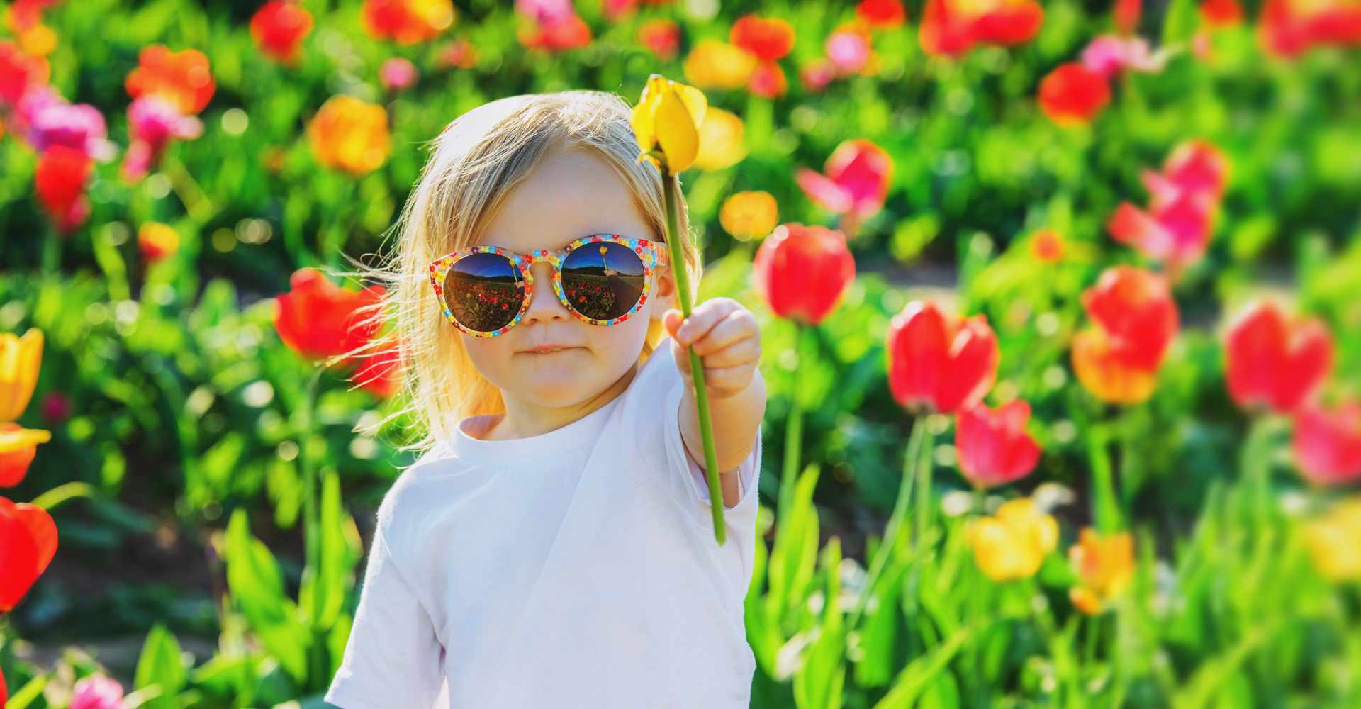 Banner Haushaltshilfe Maria